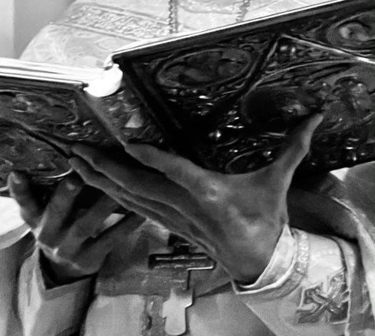Recent Homilies